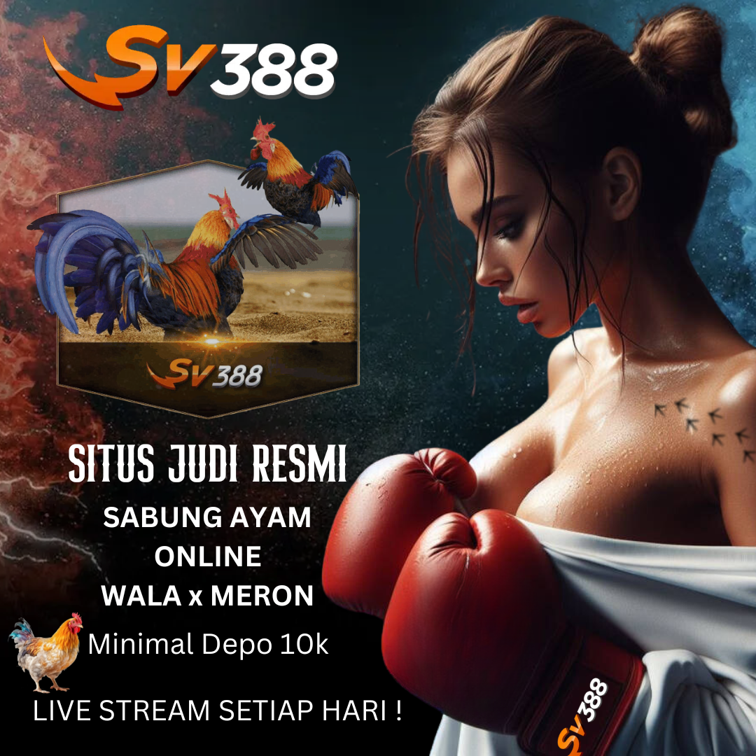 Sv388 🎱 Situs Agen Resmi Judi Sabung Ayam Online Wala Meron 24 Jam